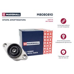 Marshall M8080810