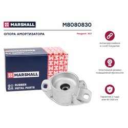 Marshall M8080830