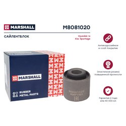 Marshall M8081020