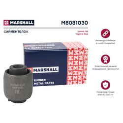 Marshall M8081030