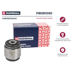 Marshall M8081050