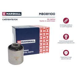 Marshall M8081100