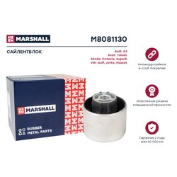 Marshall M8081130