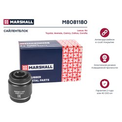 Marshall M8081180