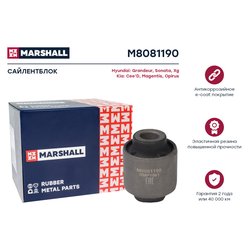 Marshall M8081190