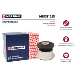 Marshall M8081210