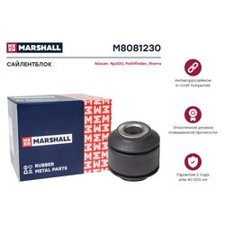 Marshall M8081230