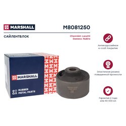 Marshall M8081250
