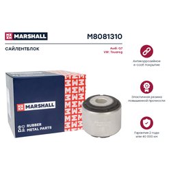 Marshall M8081310