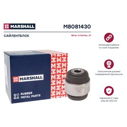 Marshall M8081430