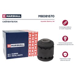Marshall M8081570