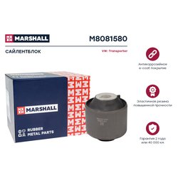 Marshall M8081580