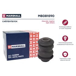 Marshall M8081590