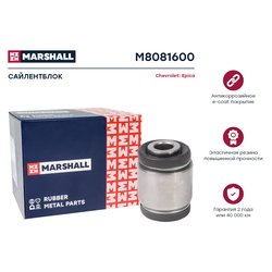 Marshall M8081600