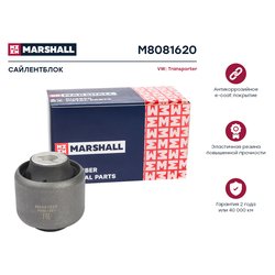 Marshall M8081620