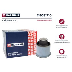 Marshall M8081710