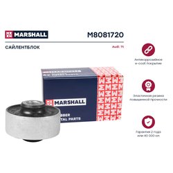 Marshall M8081720