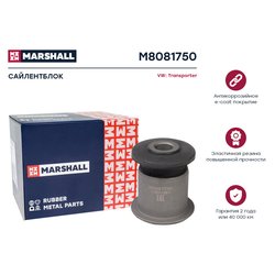 Marshall M8081750