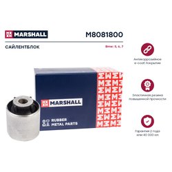 Marshall M8081800