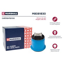 Marshall M8081830