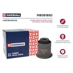 Marshall M8081850