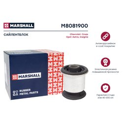 Marshall M8081900