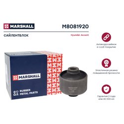 Marshall M8081920