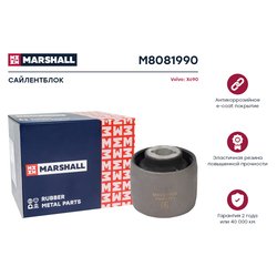 Marshall M8081990