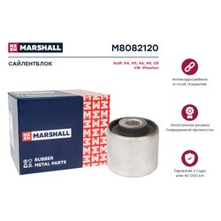 Marshall M8082120