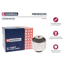 Marshall M8082230