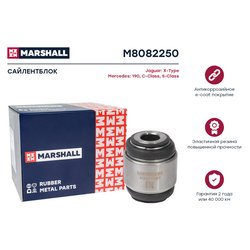 Marshall M8082250