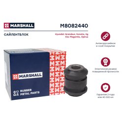 Marshall M8082440