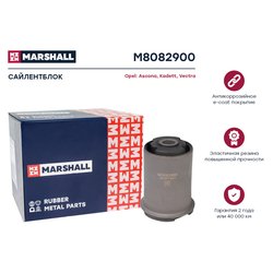 Marshall M8082900