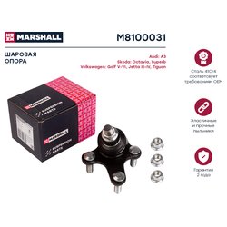 Marshall M8100031