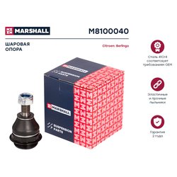 Marshall M8100040