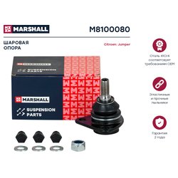 Marshall M8100080