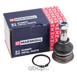 Marshall M8100210