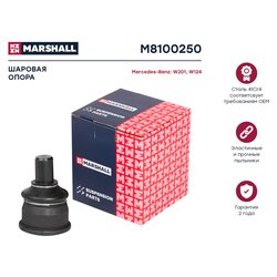 Marshall M8100250