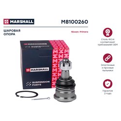 Marshall M8100260