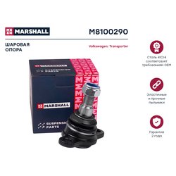 Marshall M8100290