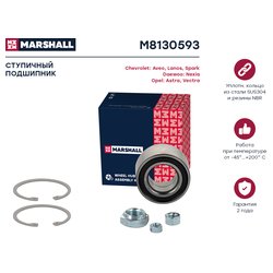 Marshall M8130593