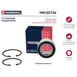 Marshall M8130736