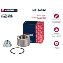 Marshall M8136570