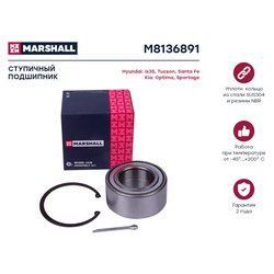 Marshall M8136891