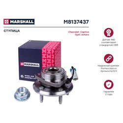 Marshall M8137437