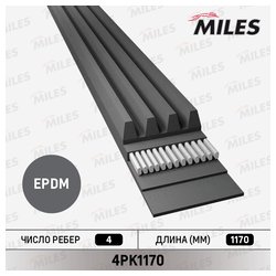 Фото MILES 4PK1170