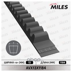 Фото MILES AVX13X1184