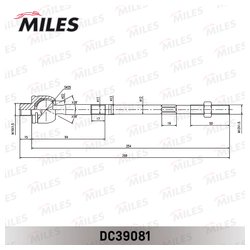 Фото MILES DC39081