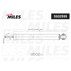 MILES DG02599