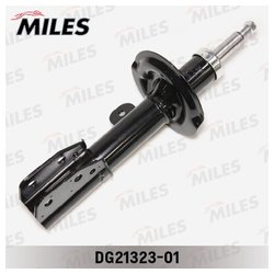 MILES dg2132301